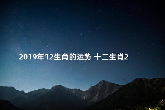 2019年12生肖的运势 十二生肖2020年运势详解